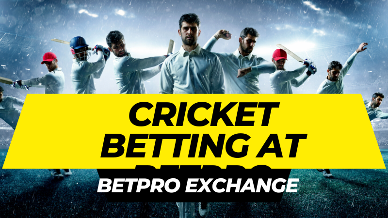 Cricket Betting At Betpro Exchange