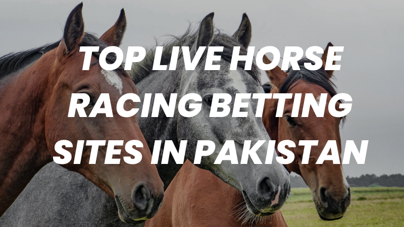 Top Live Horse Racing Betting Sites in Pakistan
